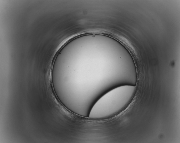 X0000100421228200806060941