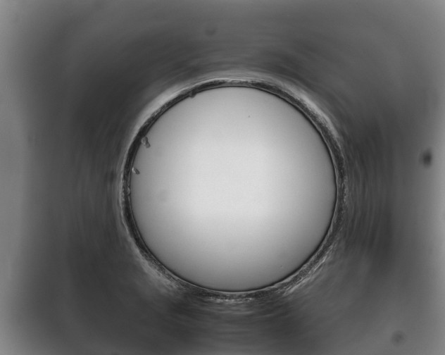 X0000100421229200806060941