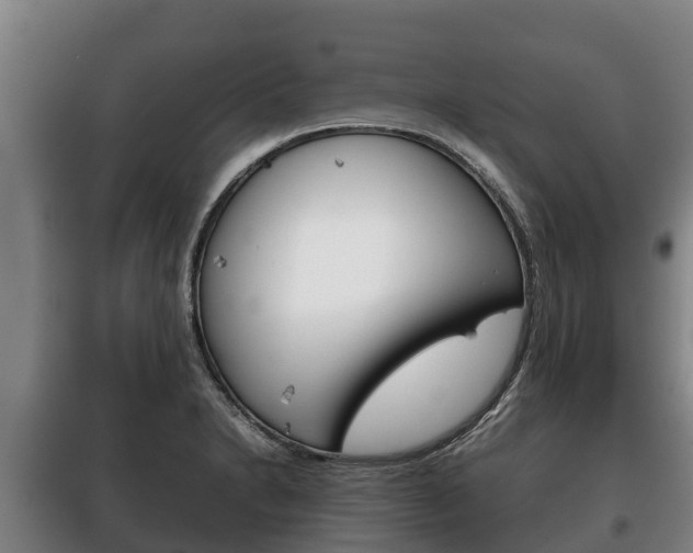 X0000100421230200806060941
