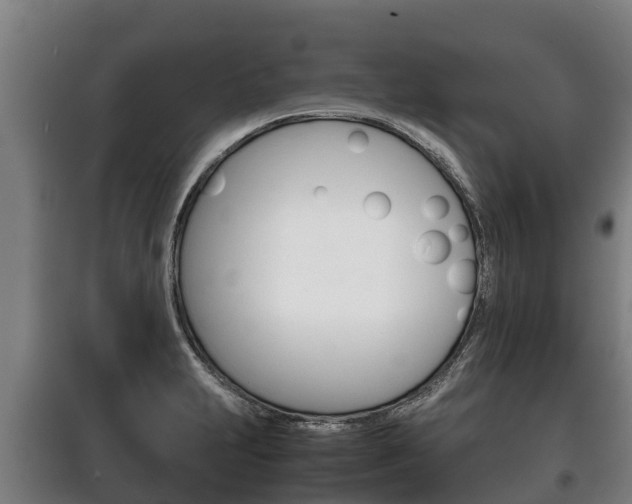 X0000100421231200806060941