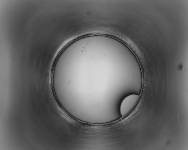 X0000100421232200806060941