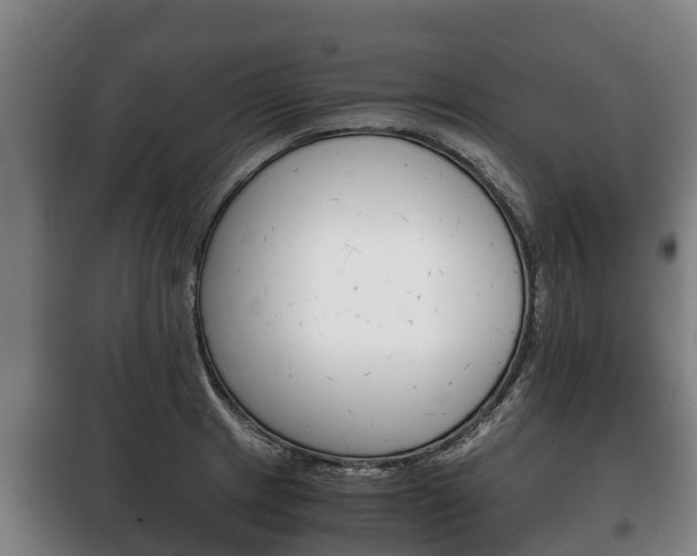 X0000100421233200806060941