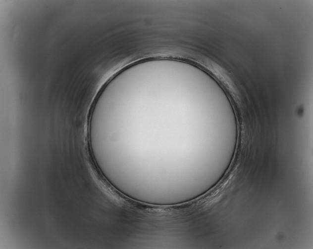 X0000100421234200806060941