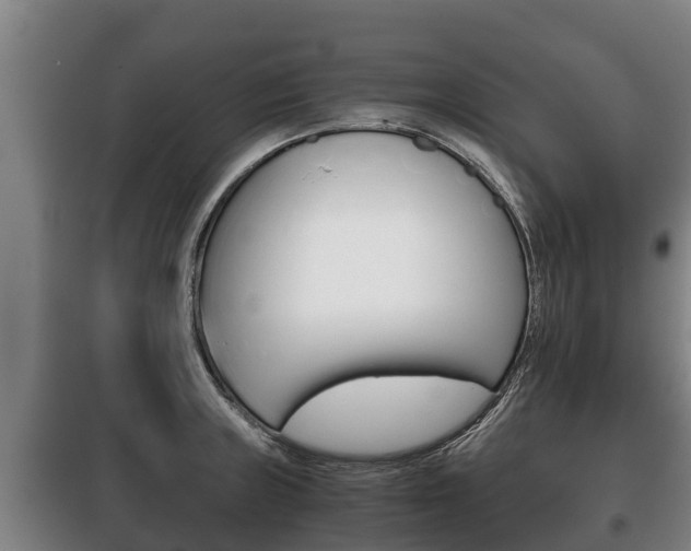 X0000100421235200806060941