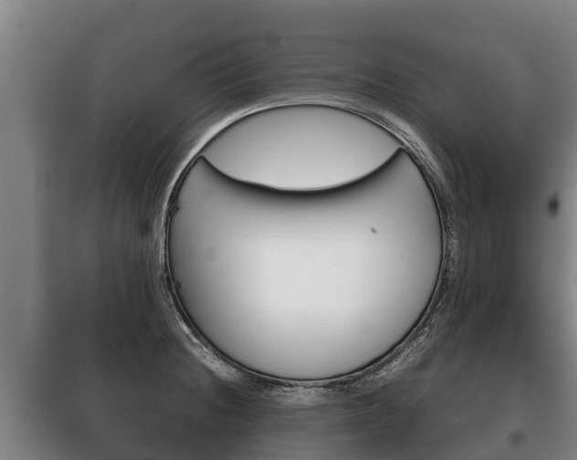 X0000100421236200806060941
