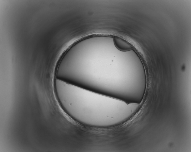 X0000100421237200806060941