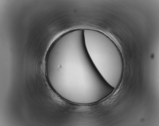 X0000100421238200806060941