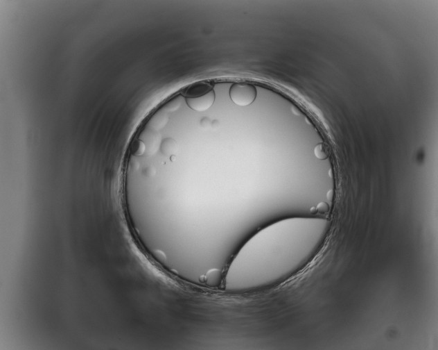 X0000100421239200806060941