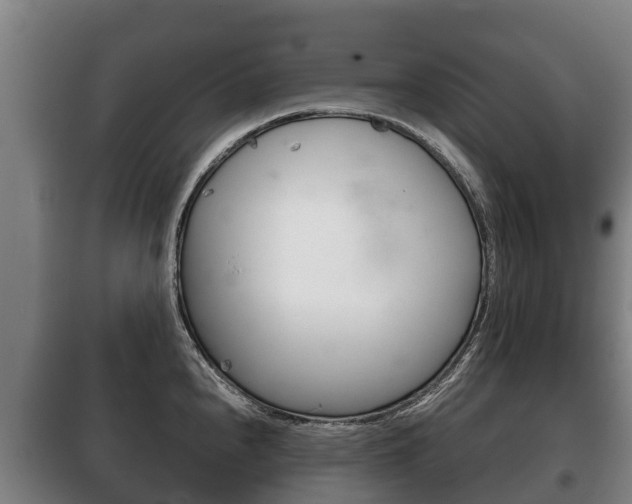 X0000100421240200806060941
