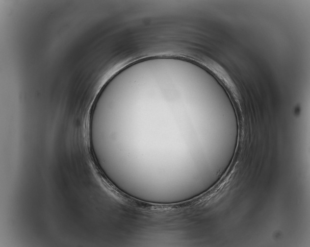 X0000100421242200806060941