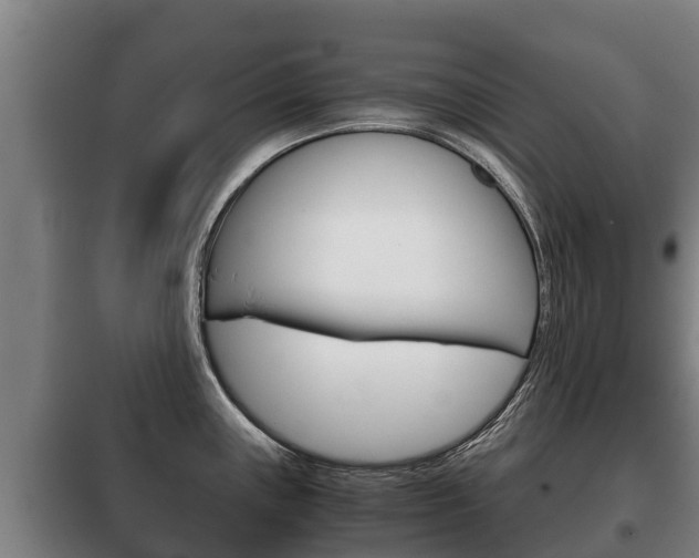 X0000100421243200806060941
