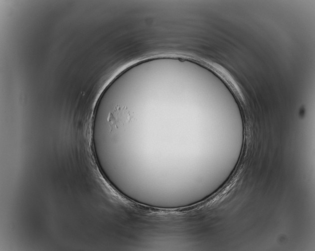 X0000100421244200806060941