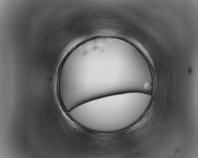X0000100421245200806060941