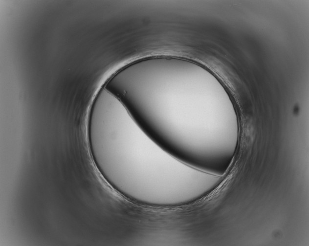 X0000100421246200806060941