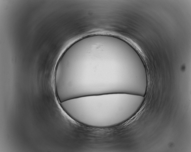 X0000100421247200806060941