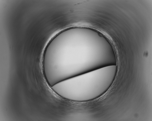 X0000100421248200806060941