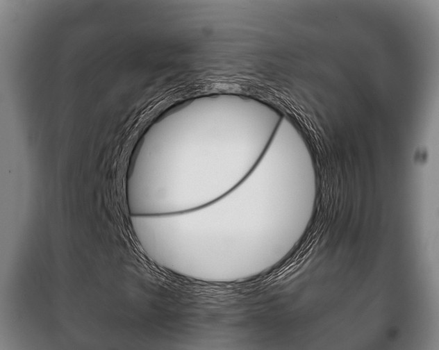 X0000100421249200806060940