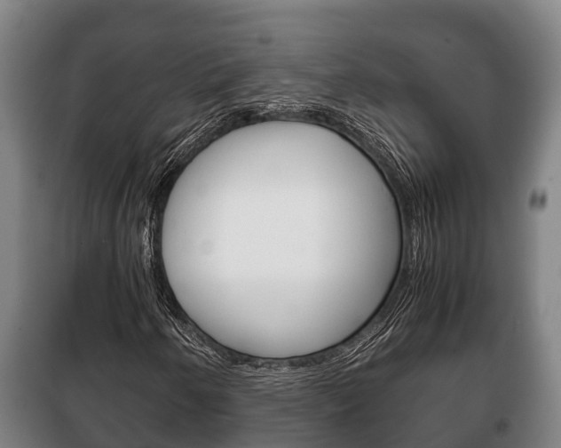 X0000100421250200806060940