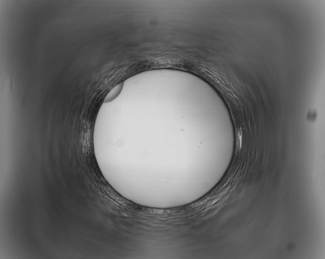 X0000100421251200806060940