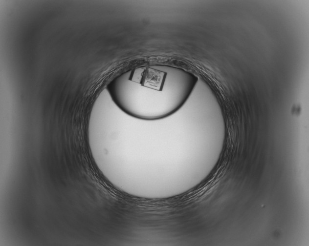 X0000100421252200806060940
