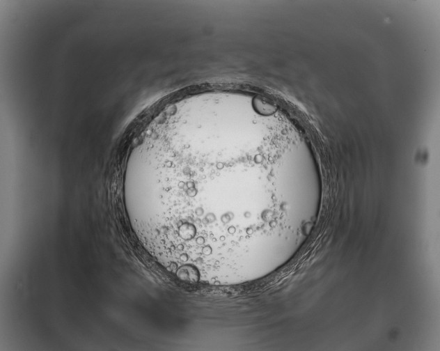 X0000100421255200806060940