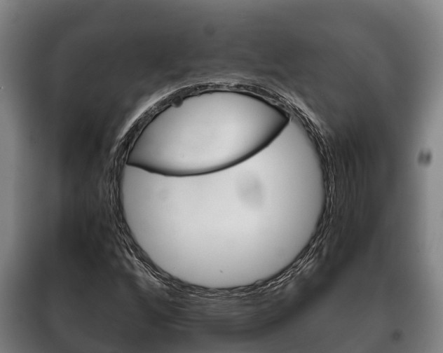 X0000100421256200806060940