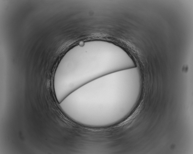 X0000100421257200806060940