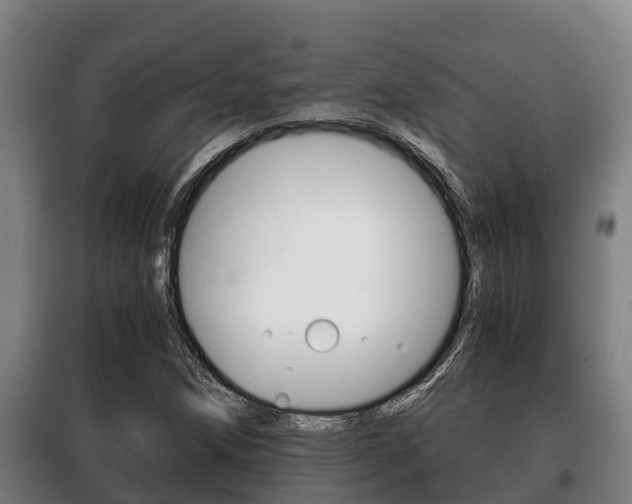 X0000100421258200806060940