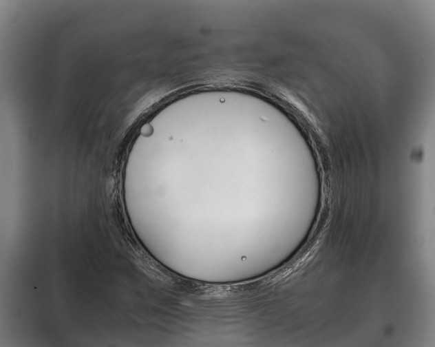 X0000100421259200806060940