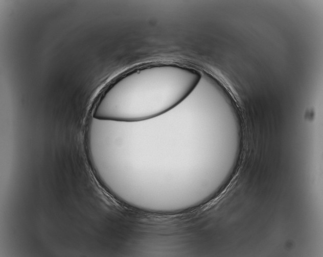 X0000100421260200806060940