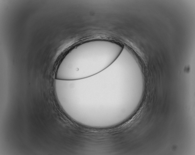 X0000100421261200806060940