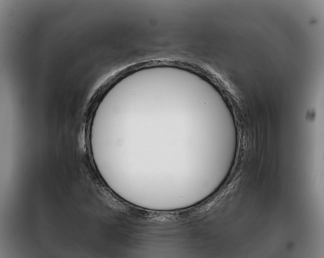 X0000100421262200806060940