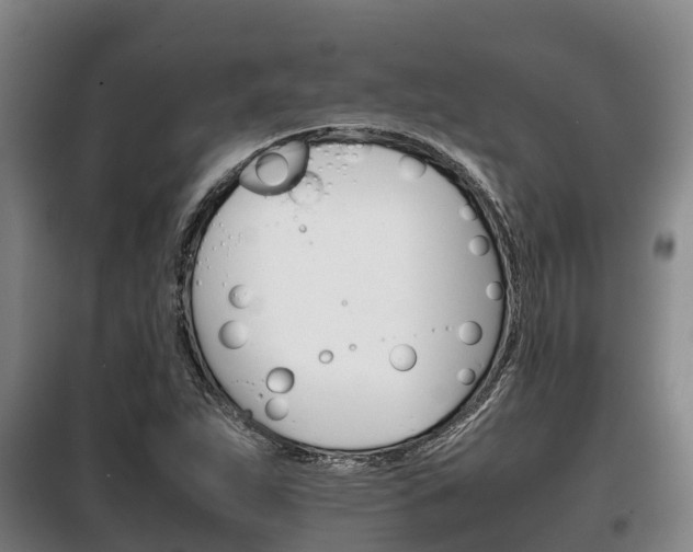 X0000100421263200806060940