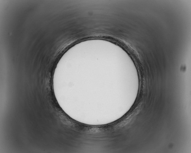X0000100421265200806060940