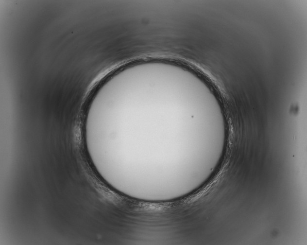 X0000100421266200806060940