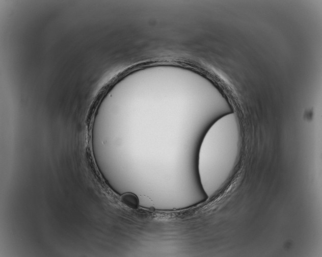 X0000100421267200806060940