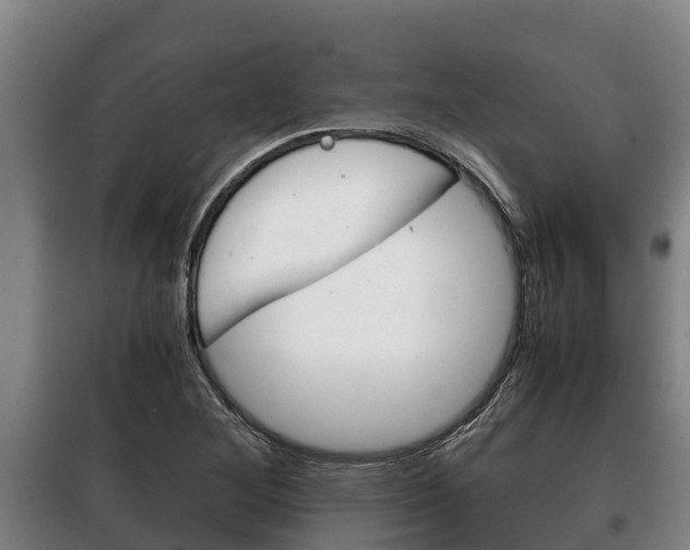 X0000100421268200806060940