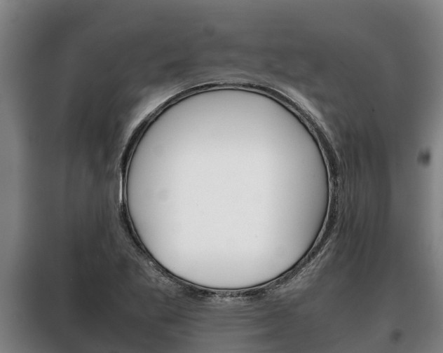 X0000100421269200806060940