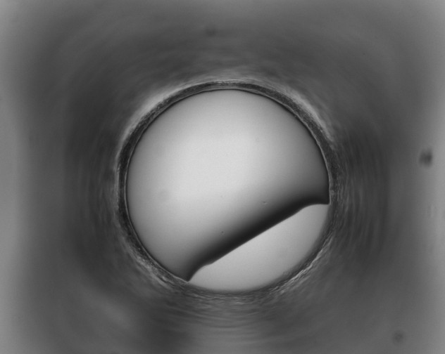 X0000100421270200806060940