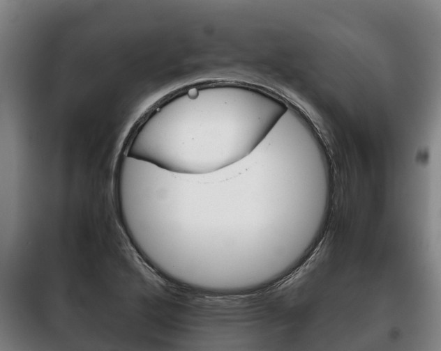 X0000100421272200806060940