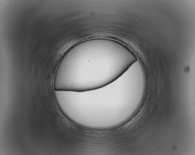 X0000100421273200806060940