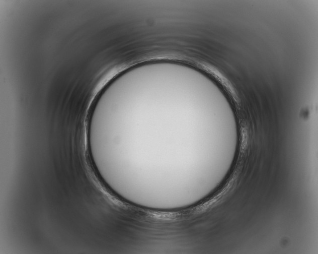 X0000100421274200806060940