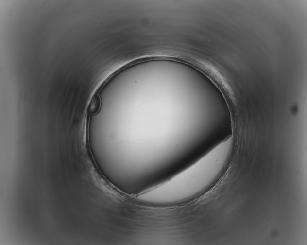 X0000100421276200806060940