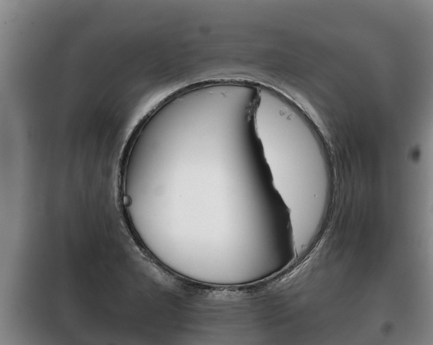 X0000100421277200806060940
