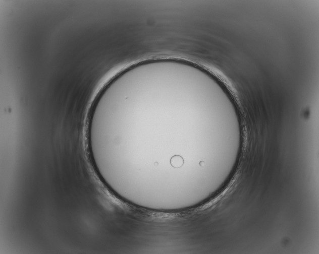 X0000100421278200806060940