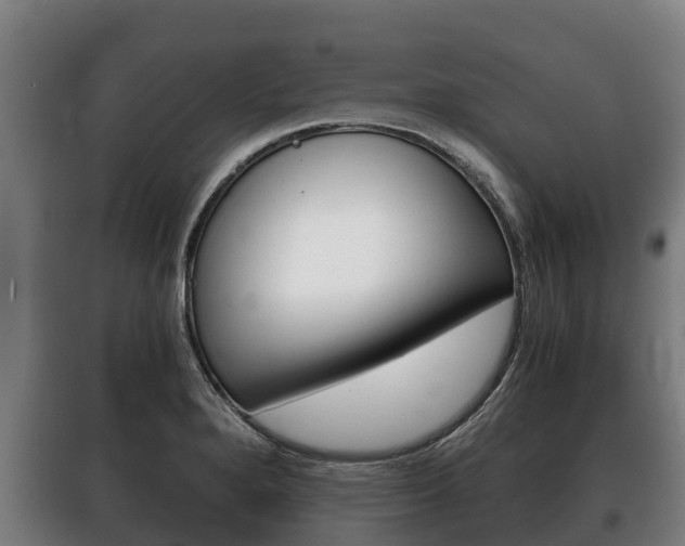 X0000100421280200806060940