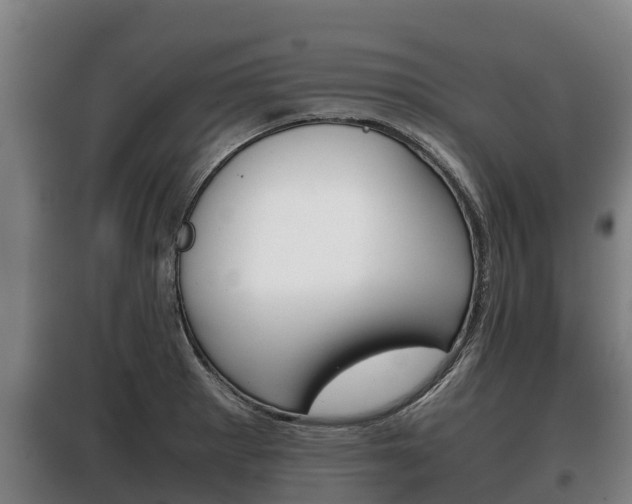 X0000100421281200806060940
