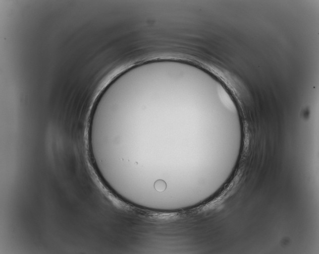 X0000100421282200806060940