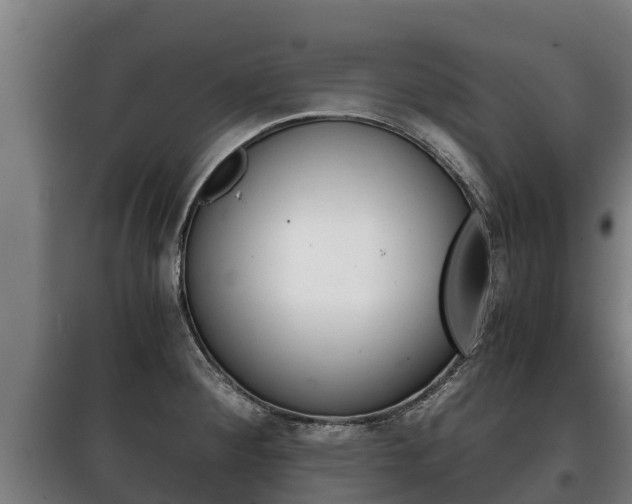 X0000100421284200806060940