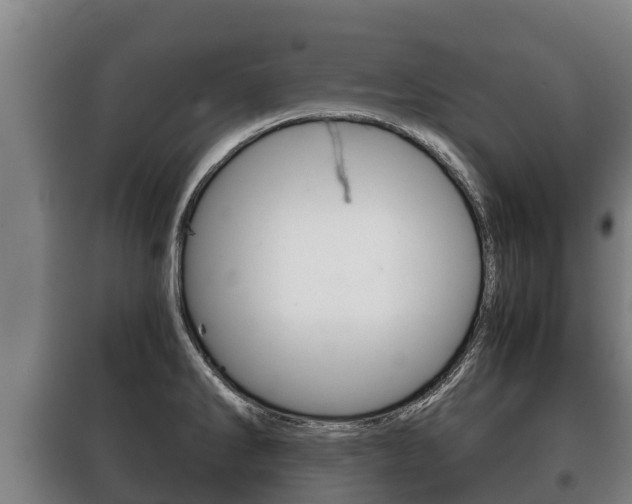X0000100421286200806060940